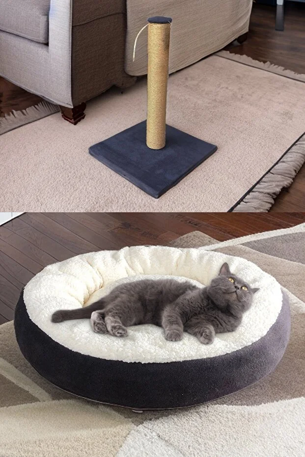 Lüks Kapalı Kedi Tuvaleti Taşıma Sepet Yatak Tırmlama Paspas 3 Katlı Oyunck Kedi Başlangıç Seti